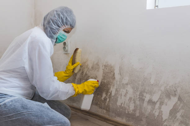 Asbestos and Lead Testing During Mold Inspection in South Wilton, CT