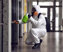 South Wilton, CT Mold Removal & Remediation Company